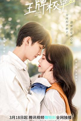 邓丽君：十五周年香港巡回演唱会1983 封面图